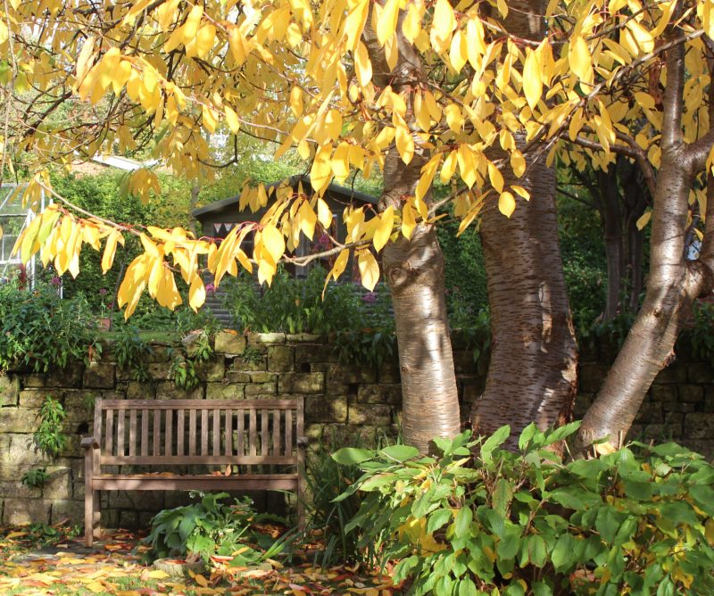 set against a black background. The title "Park Life" appears in bold yellow text at the top